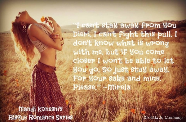 Risque Romance Vol 1