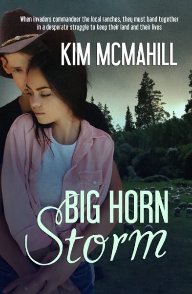 Big Horn Storm