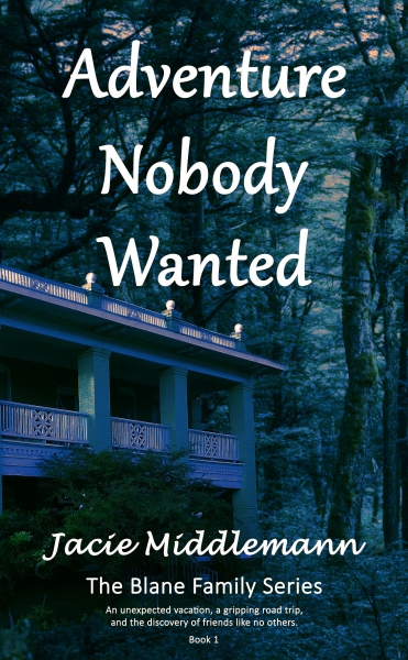 NEW RELEASE! Adventure Nobody Wanted